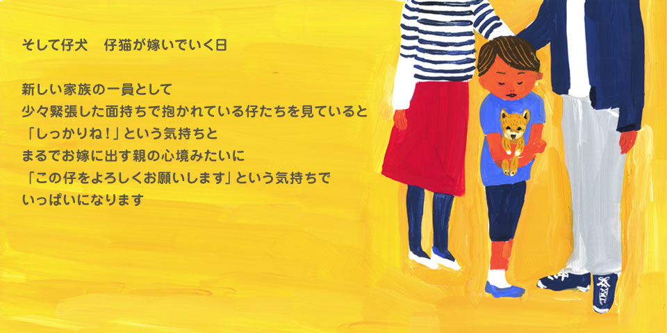 そして仔犬子猫が嫁いでいく日　新しい家族の一員として少々緊張した面持ちで抱かれている仔たちを見ていると「しっかりね！」という気持ちとまるでお嫁に出す親の心境みたいに「この仔をよろしくお願いします」という気持ちでいっぱいになります