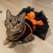 吉川　夏実のペット自慢