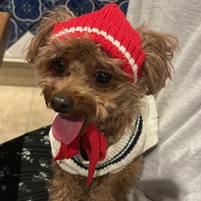 仲宗根　羽奏奈